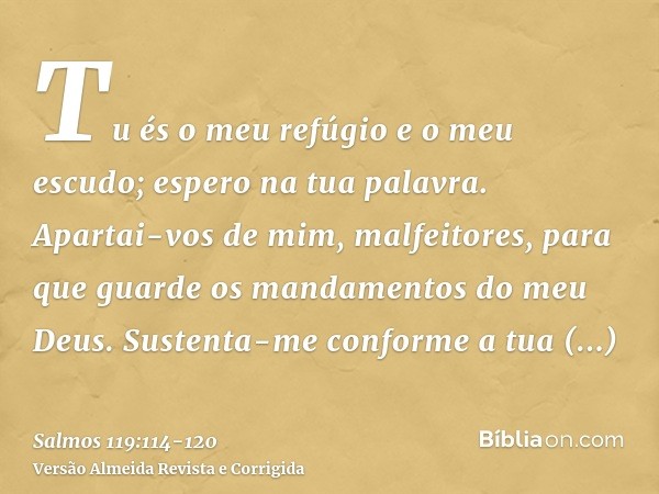 Tu és o meu refúgio e o meu escudo; espero na tua palavra.Apartai-vos de mim, malfeitores, para que guarde os mandamentos do meu Deus.Sustenta-me conforme a tua