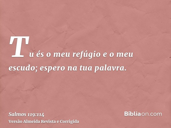 Tu és o meu refúgio e o meu escudo; espero na tua palavra.