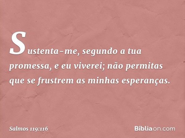 Sustenta-me, segundo a tua promessa,
e eu viverei;
não permitas que se frustrem
as minhas esperanças. -- Salmo 119:116