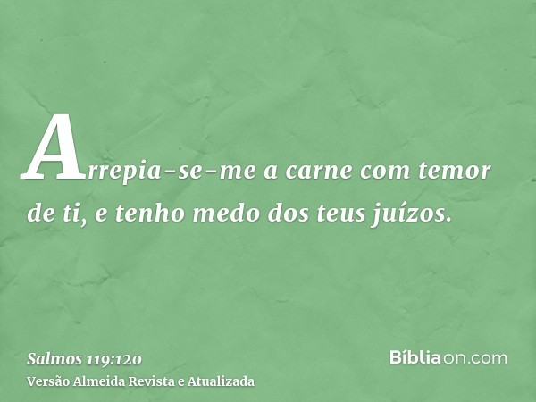 Arrepia-se-me a carne com temor de ti, e tenho medo dos teus juízos.