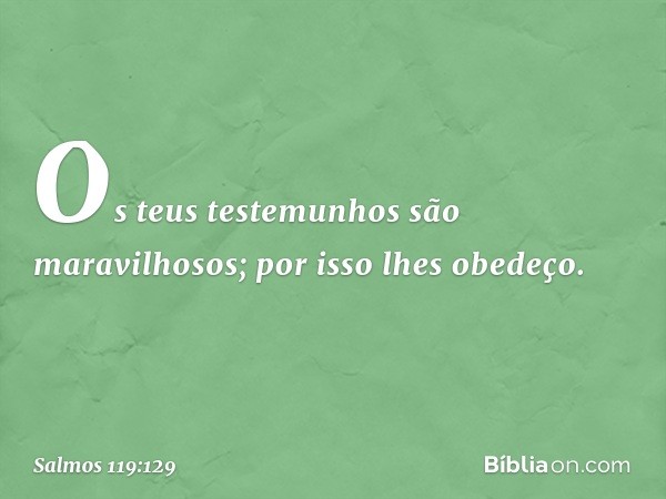 Os teus testemunhos são maravilhosos;
por isso lhes obedeço. -- Salmo 119:129