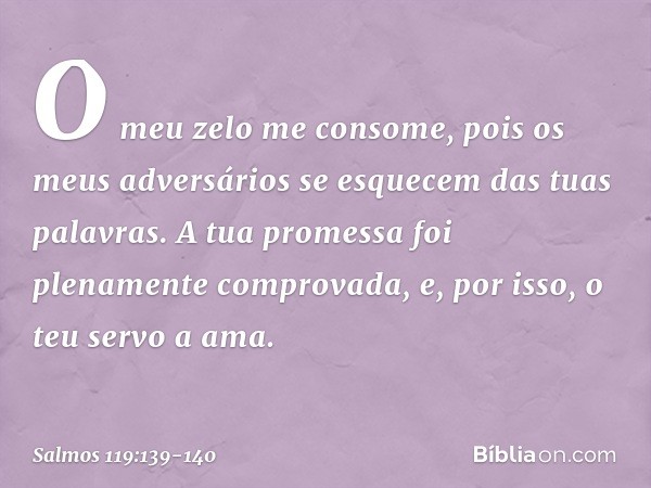 O meu zelo me consome,
pois os meus adversários
se esquecem das tuas palavras. A tua promessa
foi plenamente comprovada,
e, por isso, o teu servo a ama. -- Salm