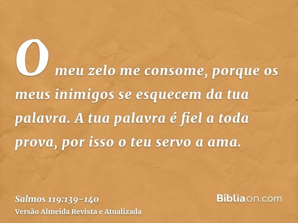 O meu zelo me consome, porque os meus inimigos se esquecem da tua palavra.A tua palavra é fiel a toda prova, por isso o teu servo a ama.