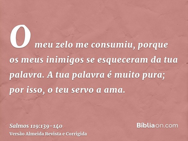 O meu zelo me consumiu, porque os meus inimigos se esqueceram da tua palavra.A tua palavra é muito pura; por isso, o teu servo a ama.