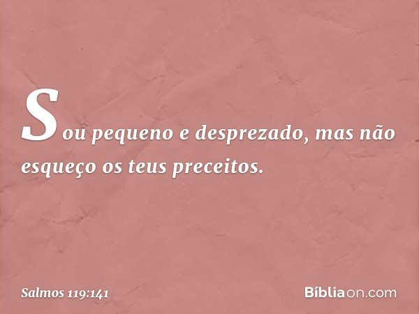 Sou pequeno e desprezado,
mas não esqueço os teus preceitos. -- Salmo 119:141