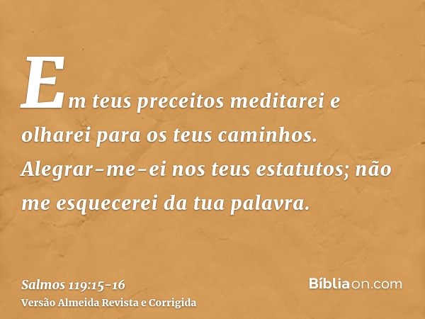 Em teus preceitos meditarei e olharei para os teus caminhos.Alegrar-me-ei nos teus estatutos; não me esquecerei da tua palavra.