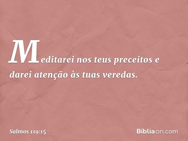 Meditarei nos teus preceitos
e darei atenção às tuas veredas. -- Salmo 119:15