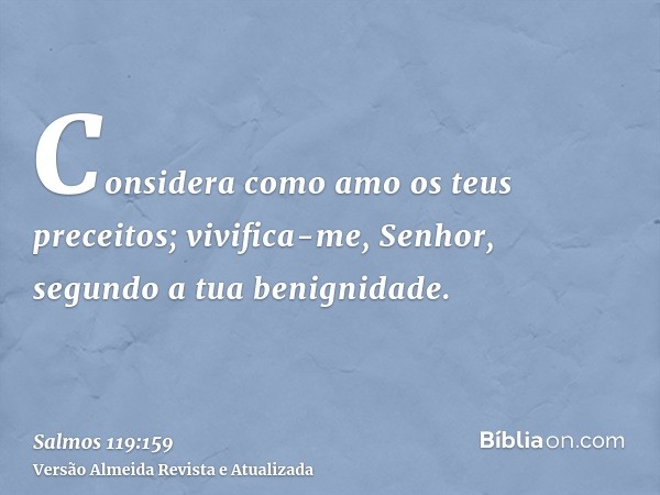 Considera como amo os teus preceitos; vivifica-me, Senhor, segundo a tua benignidade.