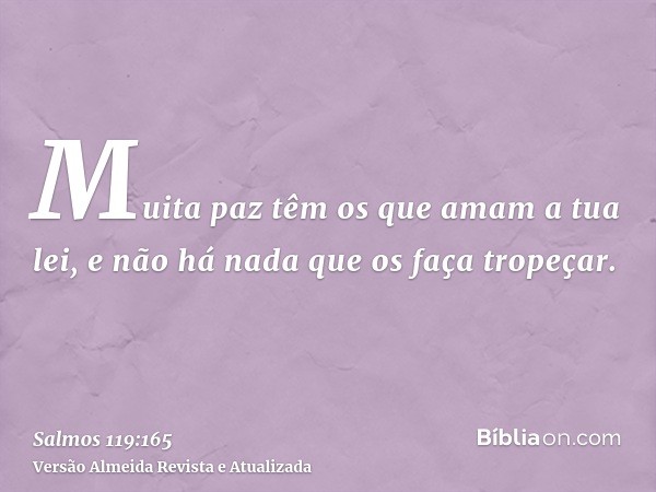 Muita paz têm os que amam a tua lei, e não há nada que os faça tropeçar.