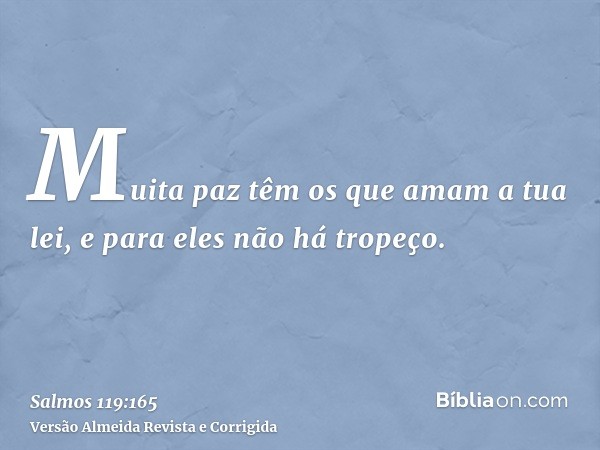 Muita paz têm os que amam a tua lei, e para eles não há tropeço.