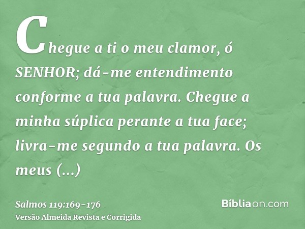 Chegue a ti o meu clamor, ó SENHOR; dá-me entendimento conforme a tua palavra.Chegue a minha súplica perante a tua face; livra-me segundo a tua palavra.Os meus 