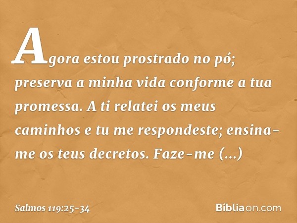 Agora estou prostrado no pó;
preserva a minha vida
conforme a tua promessa. A ti relatei os meus caminhos
e tu me respondeste;
ensina-me os teus decretos. Faze-