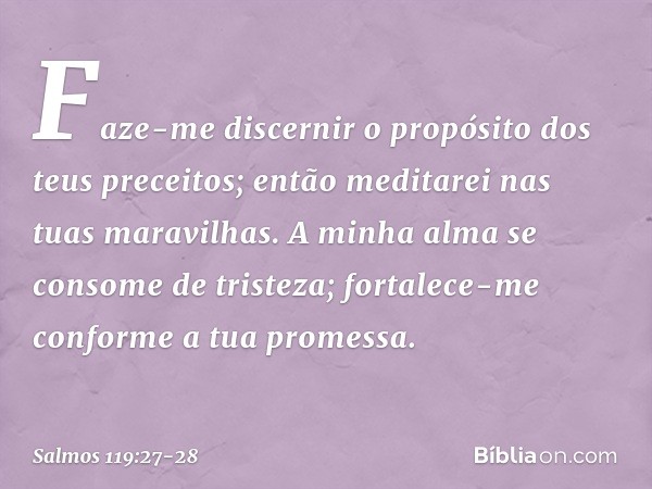 Faze-me discernir o propósito
dos teus preceitos;
então meditarei nas tuas maravilhas. A minha alma se consome de tristeza;
fortalece-me conforme a tua promessa