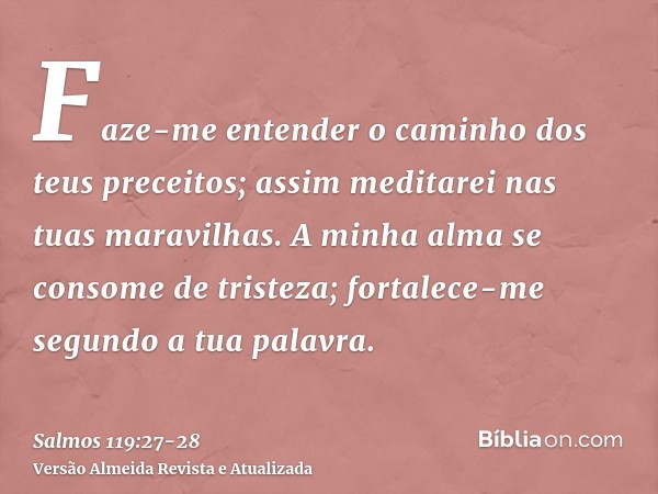 Faze-me entender o caminho dos teus preceitos; assim meditarei nas tuas maravilhas.A minha alma se consome de tristeza; fortalece-me segundo a tua palavra.