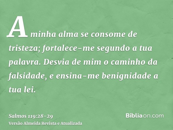 A minha alma se consome de tristeza; fortalece-me segundo a tua palavra.Desvia de mim o caminho da falsidade, e ensina-me benignidade a tua lei.