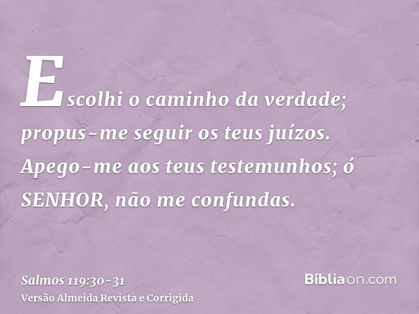 Escolhi o caminho da verdade; propus-me seguir os teus juízos.Apego-me aos teus testemunhos; ó SENHOR, não me confundas.