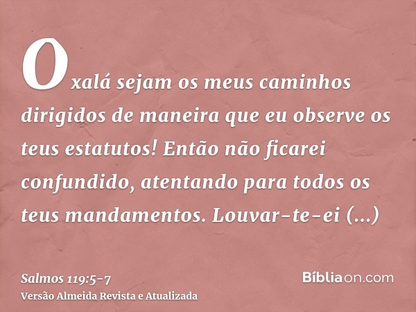 Oxalá sejam os meus caminhos dirigidos de maneira que eu observe os teus estatutos!Então não ficarei confundido, atentando para todos os teus mandamentos.Louvar