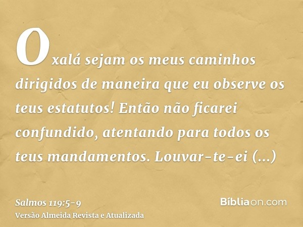 Oxalá sejam os meus caminhos dirigidos de maneira que eu observe os teus estatutos!Então não ficarei confundido, atentando para todos os teus mandamentos.Louvar