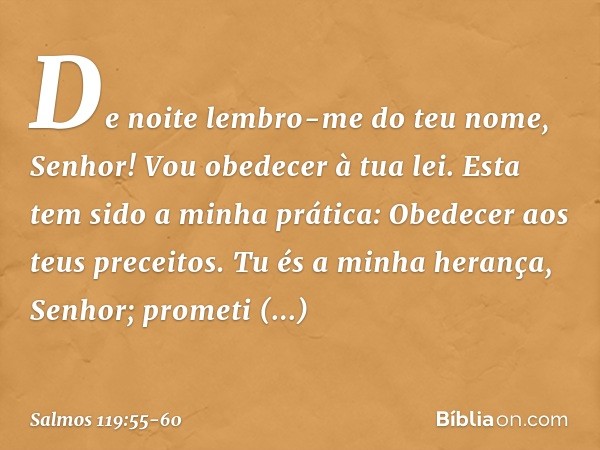 De noite lembro-me do teu nome, Senhor!
Vou obedecer à tua lei. Esta tem sido a minha prática:
Obedecer aos teus preceitos. Tu és a minha herança, Senhor;
prome