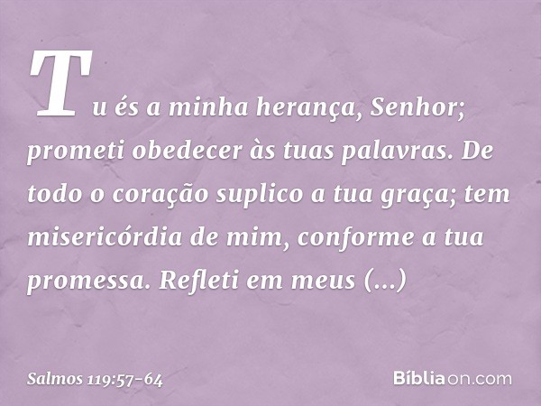 Tu és a minha herança, Senhor;
prometi obedecer às tuas palavras. De todo o coração suplico a tua graça;
tem misericórdia de mim,
conforme a tua promessa. Refle