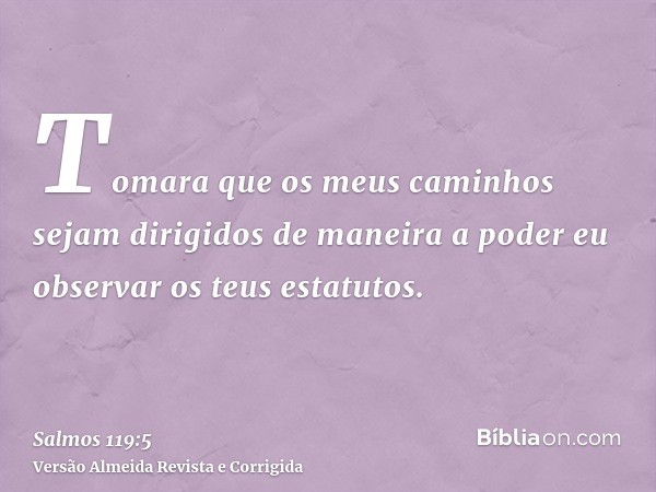 Tomara que os meus caminhos sejam dirigidos de maneira a poder eu observar os teus estatutos.
