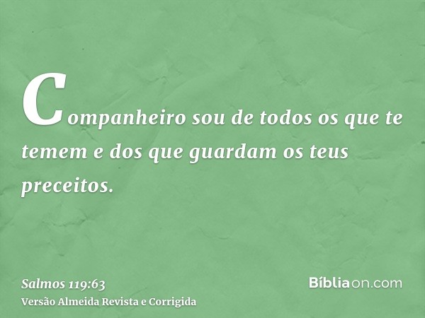 Companheiro sou de todos os que te temem e dos que guardam os teus preceitos.