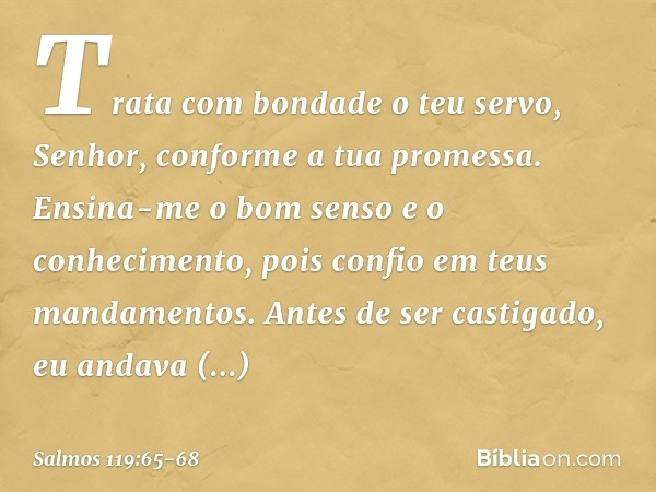 Trata com bondade o teu servo, Senhor,
conforme a tua promessa. Ensina-me o bom senso e o conhecimento,
pois confio em teus mandamentos. Antes de ser castigado,
