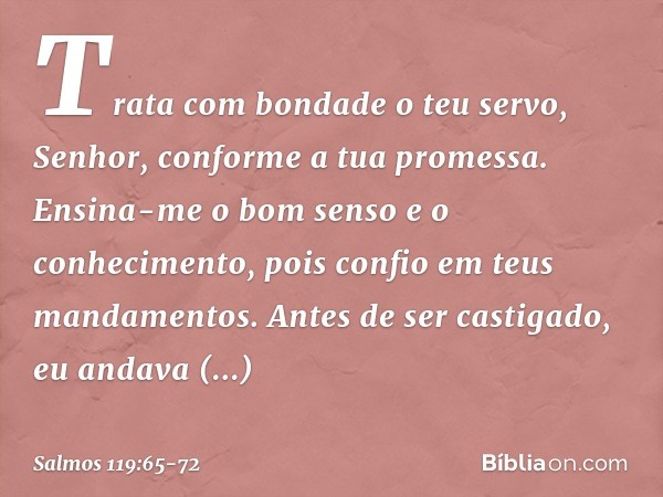 Trata com bondade o teu servo, Senhor,
conforme a tua promessa. Ensina-me o bom senso e o conhecimento,
pois confio em teus mandamentos. Antes de ser castigado,