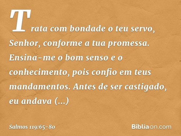 Trata com bondade o teu servo, Senhor,
conforme a tua promessa. Ensina-me o bom senso e o conhecimento,
pois confio em teus mandamentos. Antes de ser castigado,