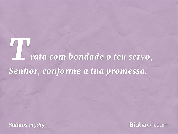 Trata com bondade o teu servo, Senhor,
conforme a tua promessa. -- Salmo 119:65