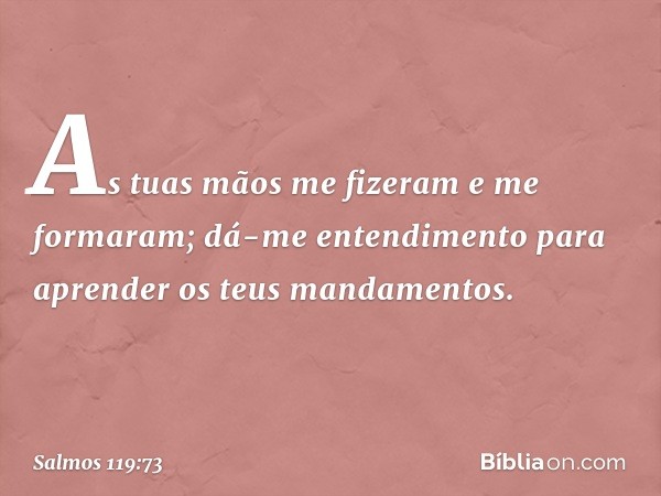 As tuas mãos me fizeram e me formaram;
dá-me entendimento para aprender
os teus mandamentos. -- Salmo 119:73