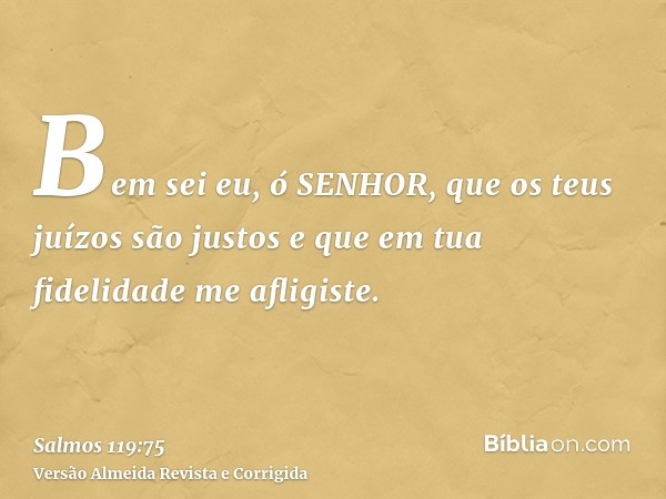 Bem sei eu, ó SENHOR, que os teus juízos são justos e que em tua fidelidade me afligiste.
