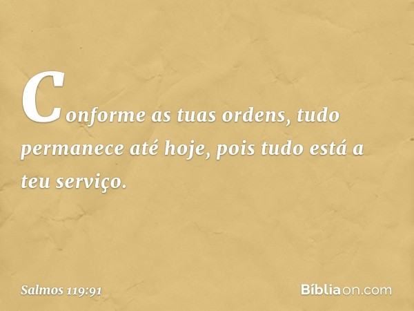 Conforme as tuas ordens,
tudo permanece até hoje,
pois tudo está a teu serviço. -- Salmo 119:91