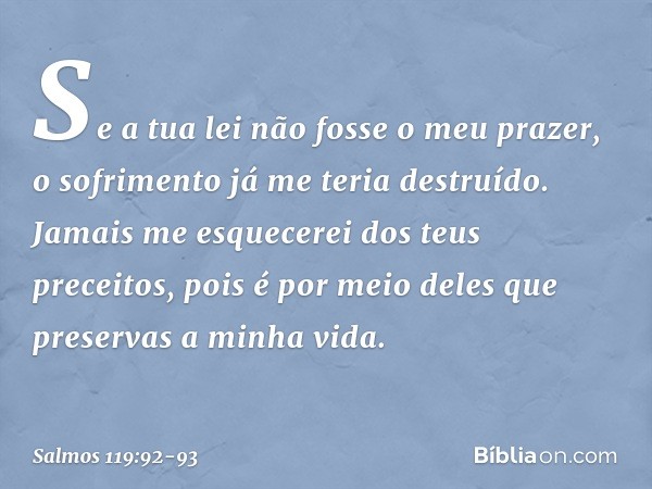 Se a tua lei não fosse o meu prazer,
o sofrimento já me teria destruído. Jamais me esquecerei dos teus preceitos,
pois é por meio deles
que preservas a minha vi