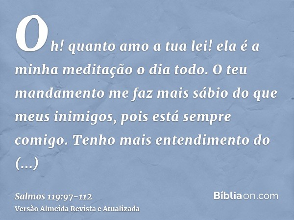 Oh! quanto amo a tua lei! ela é a minha meditação o dia todo.O teu mandamento me faz mais sábio do que meus inimigos, pois está sempre comigo.Tenho mais entendi