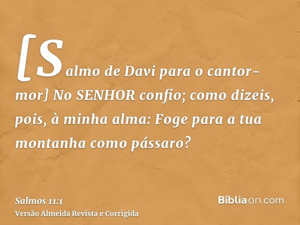 [Salmo de Davi para o cantor-mor] No SENHOR confio; como dizeis, pois, à minha alma: Foge para a tua montanha como pássaro?