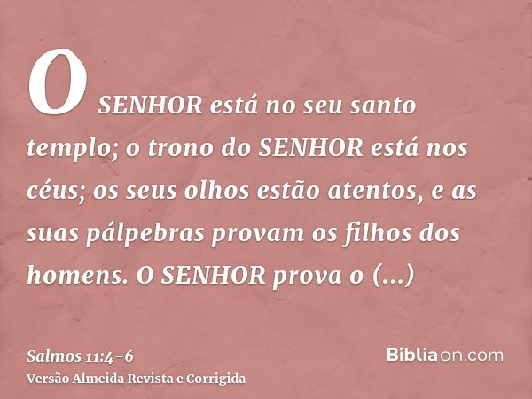 O SENHOR está no seu santo templo; o trono do SENHOR está nos céus; os seus olhos estão atentos, e as suas pálpebras provam os filhos dos homens.O SENHOR prova