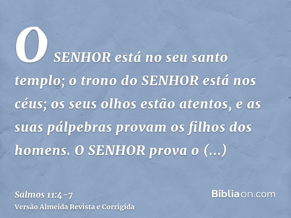 O SENHOR está no seu santo templo; o trono do SENHOR está nos céus; os seus olhos estão atentos, e as suas pálpebras provam os filhos dos homens.O SENHOR prova