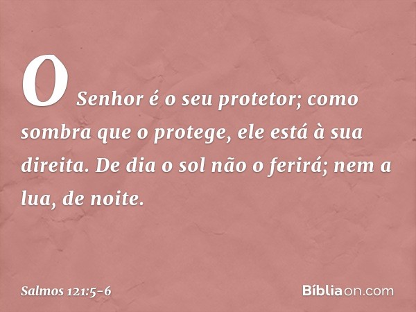 O Senhor é o seu protetor;
como sombra que o protege,
ele está à sua direita. De dia o sol não o ferirá;
nem a lua, de noite. -- Salmo 121:5-6