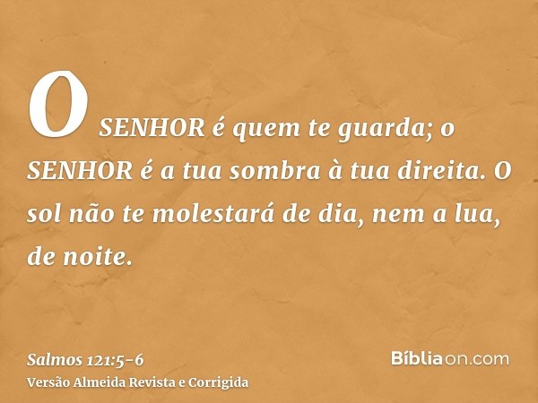 O SENHOR é quem te guarda; o SENHOR é a tua sombra à tua direita.O sol não te molestará de dia, nem a lua, de noite.