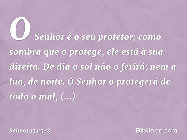 O Senhor é o seu protetor;
como sombra que o protege,
ele está à sua direita. De dia o sol não o ferirá;
nem a lua, de noite. O Senhor o protegerá de todo o mal