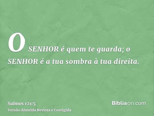 O SENHOR é quem te guarda; o SENHOR é a tua sombra à tua direita.