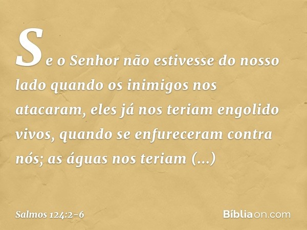 Se o Senhor não estivesse do nosso lado
quando os inimigos nos atacaram, eles já nos teriam engolido vivos,
quando se enfureceram contra nós; as águas nos teria