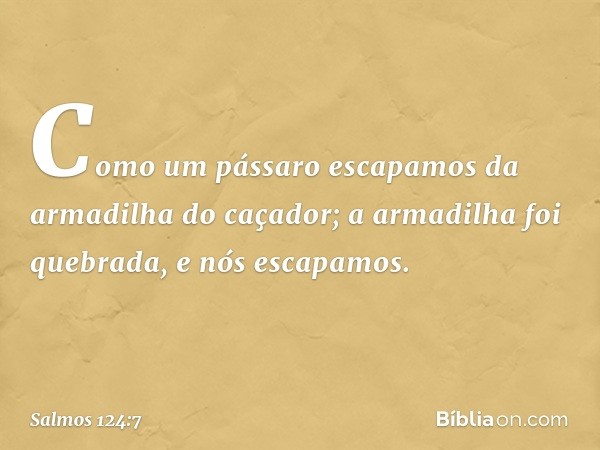 Como um pássaro escapamos
da armadilha do caçador;
a armadilha foi quebrada,
e nós escapamos. -- Salmo 124:7