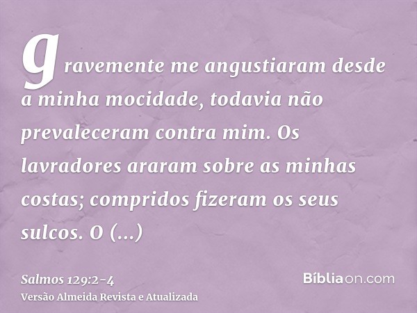 gravemente me angustiaram desde a minha mocidade, todavia não prevaleceram contra mim.Os lavradores araram sobre as minhas costas; compridos fizeram os seus sul