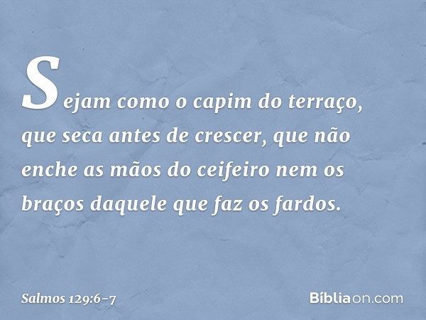 Sejam como o capim do terraço,
que seca antes de crescer, que não enche as mãos do ceifeiro
nem os braços daquele que faz os fardos. -- Salmo 129:6-7