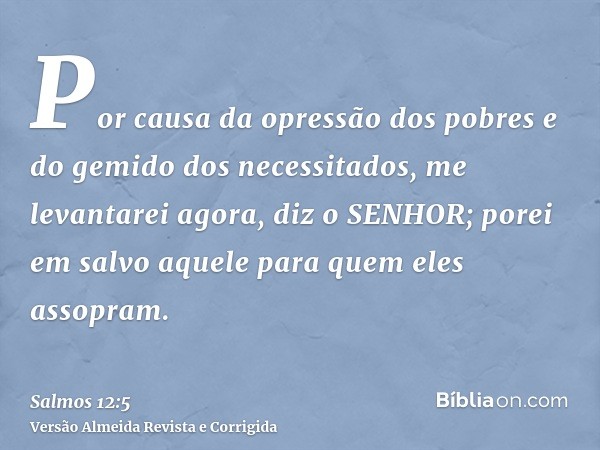 Por causa da opressão dos pobres e do gemido dos necessitados, me levantarei agora, diz o SENHOR; porei em salvo aquele para quem eles assopram.