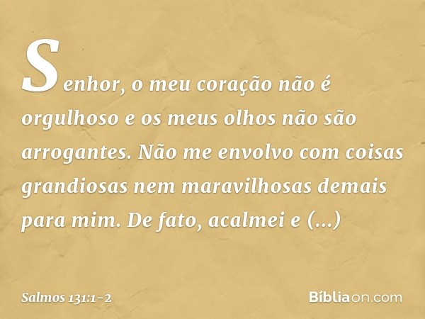 Senhor, o meu coração não é orgulhoso
e os meus olhos não são arrogantes.
Não me envolvo com coisas grandiosas
nem maravilhosas demais para mim. De fato, acalme