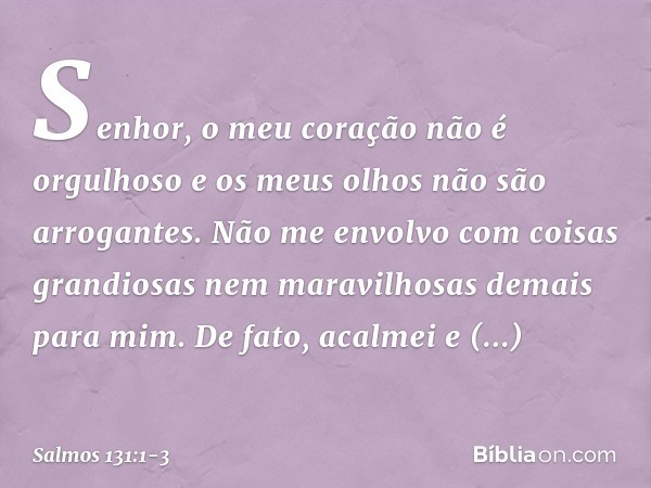 Senhor, o meu coração não é orgulhoso
e os meus olhos não são arrogantes.
Não me envolvo com coisas grandiosas
nem maravilhosas demais para mim. De fato, acalme