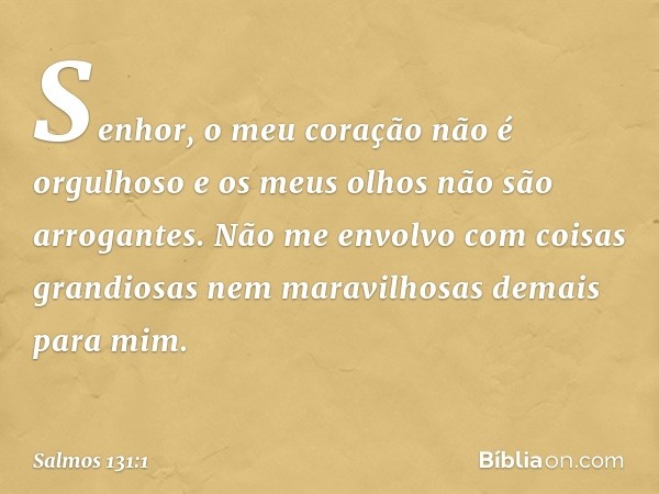 Senhor, o meu coração não é orgulhoso
e os meus olhos não são arrogantes.
Não me envolvo com coisas grandiosas
nem maravilhosas demais para mim. -- Salmo 131:1